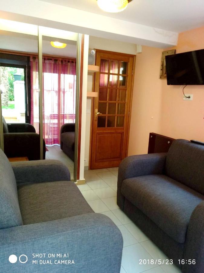 Appartement Charmant A Alfortville 30M² Terrasse Et Jardin Buitenkant foto