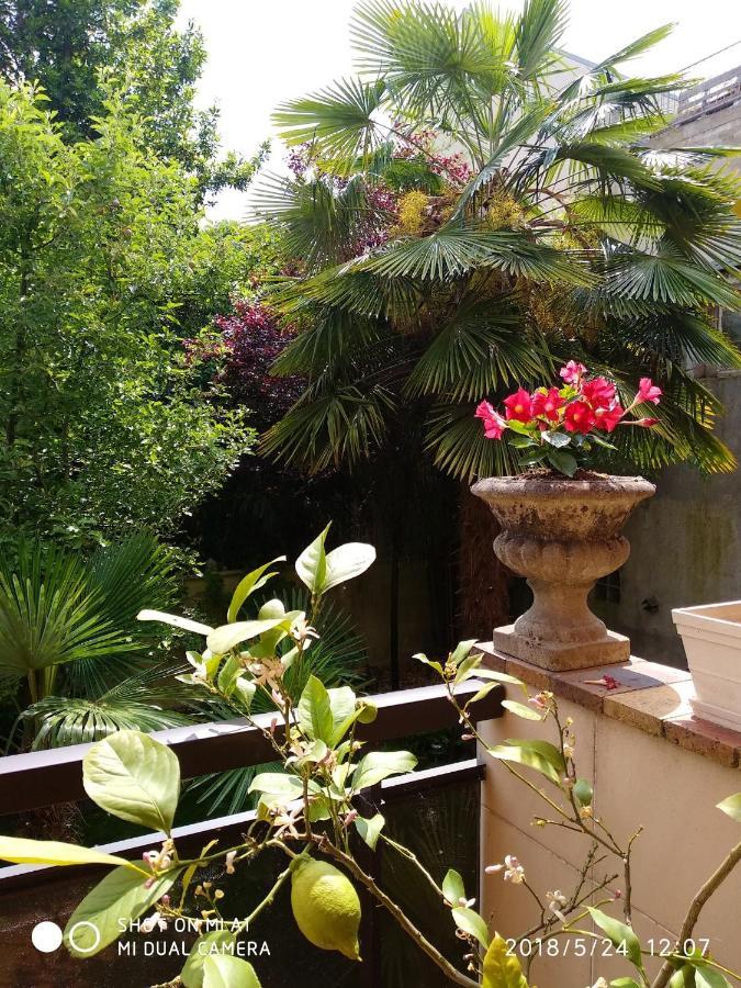 Appartement Charmant A Alfortville 30M² Terrasse Et Jardin Buitenkant foto